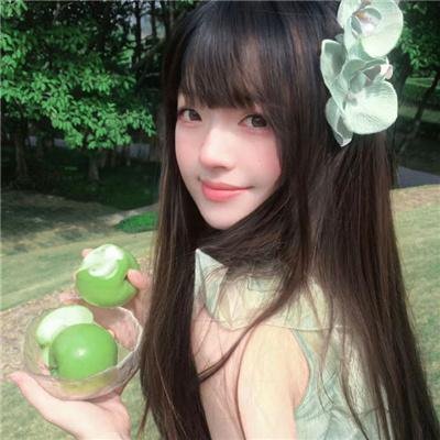 档案风暴